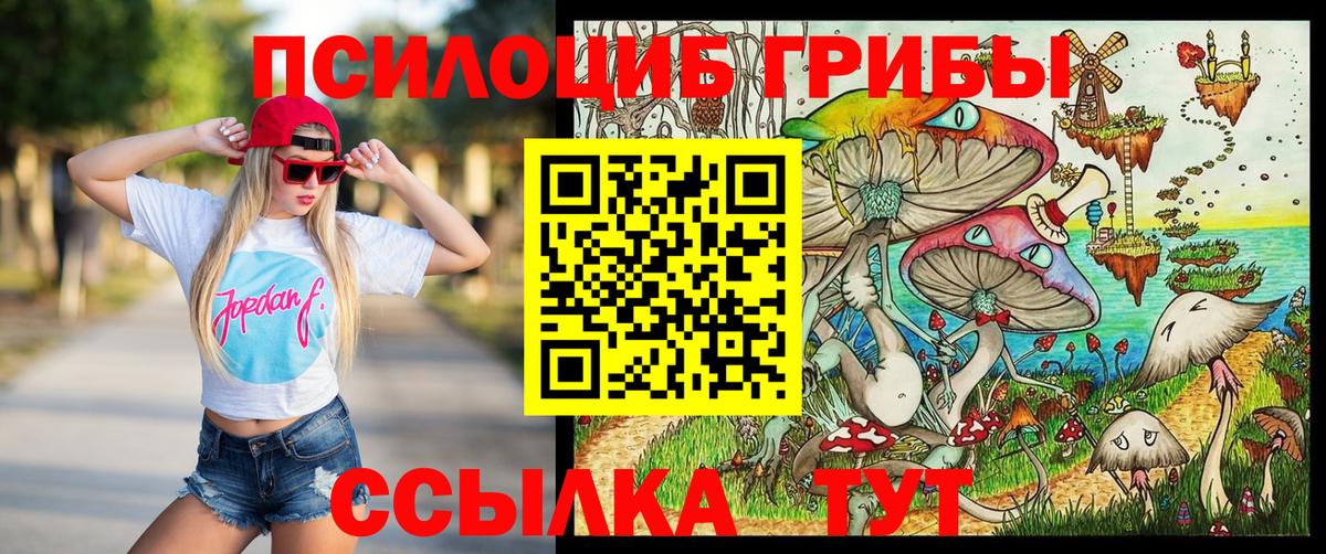 Псилоцибиновые грибы Magic Shrooms  Псилоцибиновые грибы мицелий  Тимашёвск  Вход с VPN 