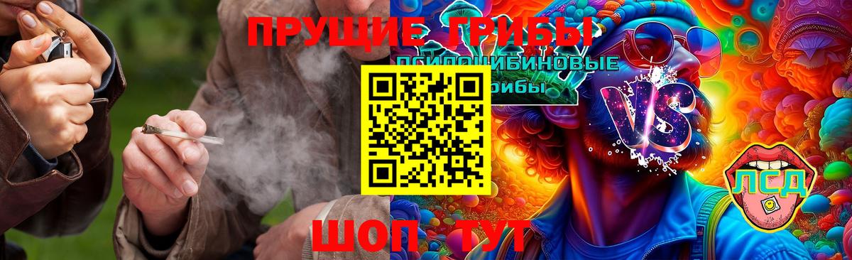 Псилоцибиновые грибы GOLDEN TEACHER Тимашёвск